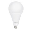 Foco Led High Power 50W L/Día Home Light
